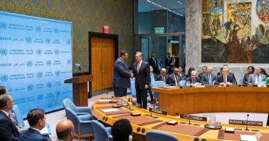 Ambos países respaldan el multilateralismo, la Carta de la ONU y un orden internacional más justo, inclusivo y multipolar