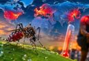 Científicos chinos alertan: el virus tropical se expandirá hacia Europa, Norteamérica y Asia oriental antes de 2040 si no se actúa.