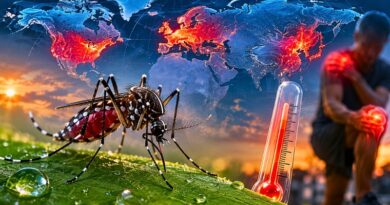 Científicos chinos alertan: el virus tropical se expandirá hacia Europa, Norteamérica y Asia oriental antes de 2040 si no se actúa.